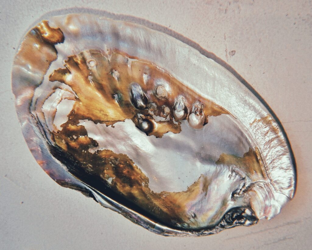 BASTET JEWELRY STUDIO (C) 2025. All Rights Reserved.